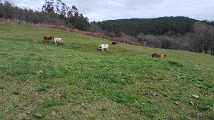 Cada una concentrada en su alimento 